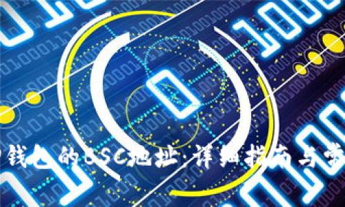如何找到TP钱包的BSC地址：详细指南与常见问题解答