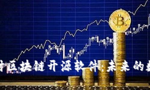 深入探讨区块链开源软件：未来的数字革命