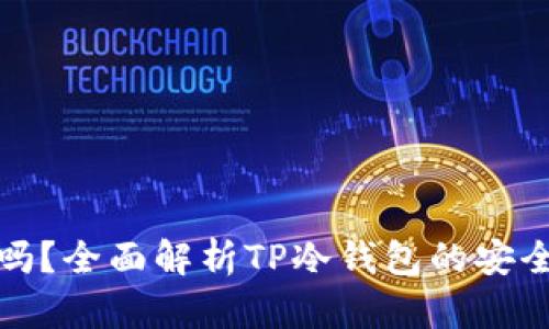TP冷钱包安全吗？全面解析TP冷钱包的安全性与使用策略