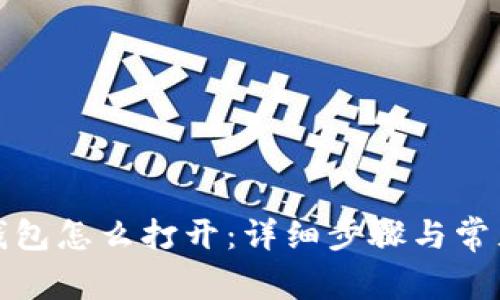 数字货币钱包怎么打开：详细步骤与常见问题解析