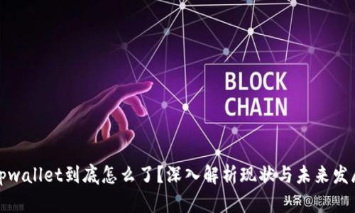 tpwallet到底怎么了？深入解析现状与未来发展