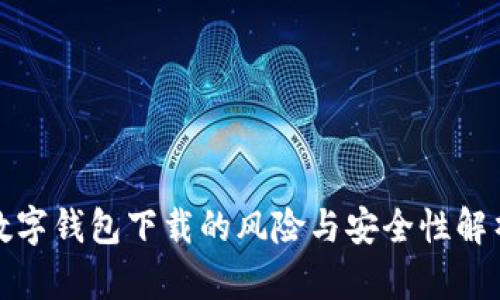 数字钱包下载的风险与安全性解析
