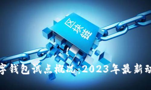 数字钱包试点概况：2023年最新动态