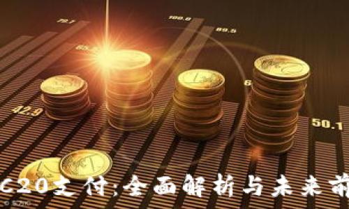   
TRC20支付：全面解析与未来前景