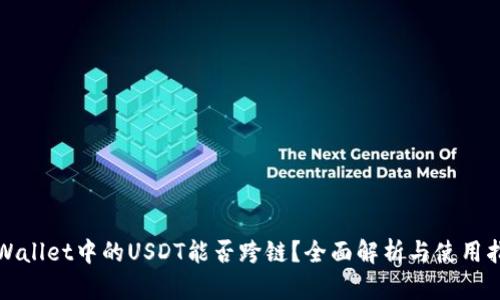 TPWallet中的USDT能否跨链？全面解析与使用指南