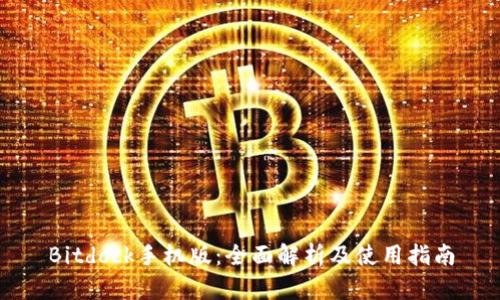 Bitdock手机版：全面解析及使用指南