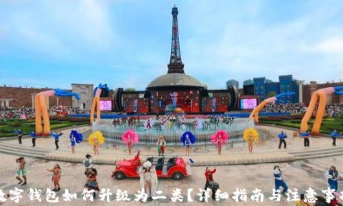 
数字钱包如何升级为二类？详细指南与注意事项