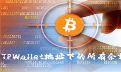 : 如何查询TPWallet地址下的所有余额：详细指南