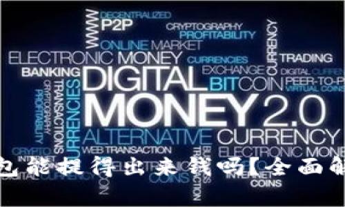 加密货币云钱包能提得出来钱吗？全面解析与实用指南