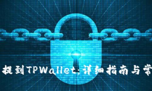 如何将SD币提到TPWallet：详细指南与常见问题解答