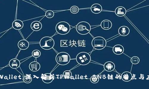 TPWallet：深入解析TPWallet BNB链的特点与应用