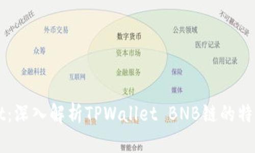 TPWallet：深入解析TPWallet BNB链的特点与应用