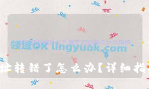 TPWallet 地址转错了怎么办？详细指南与应对措施