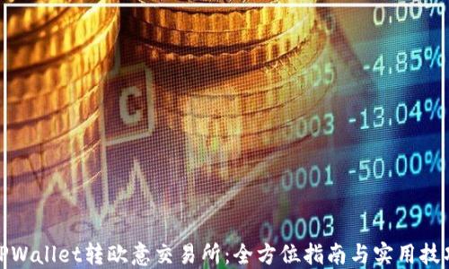 
TPWallet转欧意交易所：全方位指南与实用技巧