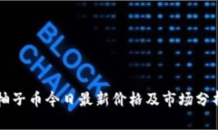 柚子币今日最新价格及市场分析