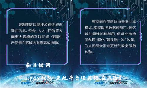 和关键词

upay钱包：正规平台还是潜在风险？