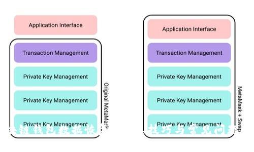 区块链钱包数据恢复：方法、技巧与常见问题解析