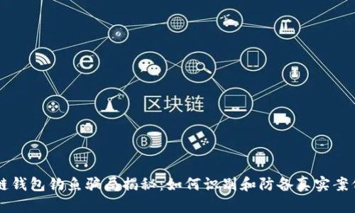 区块链钱包钓鱼骗局揭秘：如何识别和防备真实案例分析