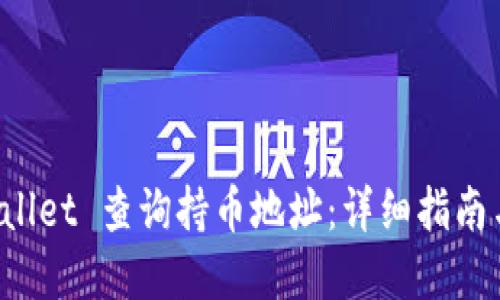 如何使用 TPWallet 查询持币地址：详细指南与相关问题解答