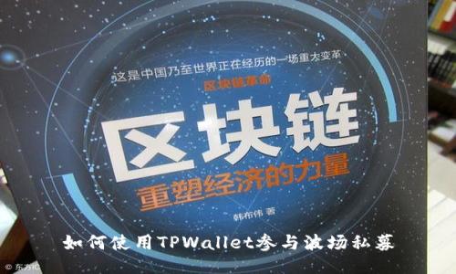如何使用TPWallet参与波场私募