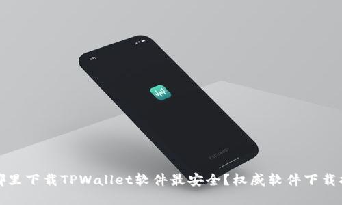 在哪里下载TPWallet软件最安全？权威软件下载指南