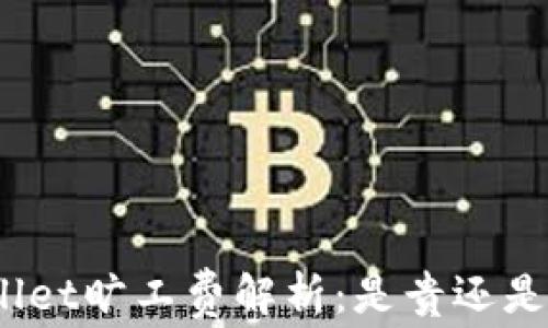 
tpwallet旷工费解析：是贵还是便宜？