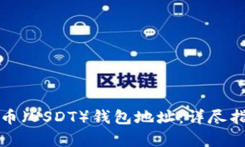 如何查询泰达币（USDT）钱包地址：详尽指南与实用技巧